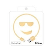 Lightning スマイル USB ケーブル 120cm ゴールド QL-250GO