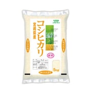 宮崎コシヒカリ 5kg 令和2年産