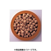 BS010 [ソフトタイプ S 1.0L]
