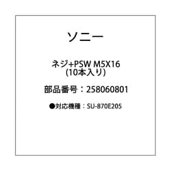 2-580-608-01 [ネジ＋PSW M5X16 (10本入り）]