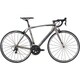 ロードバイク SCULTURA 700 52cm 700×23C 外装22段変速（フロント2段×リヤ11段） ポリッシュクリヤー AMS070526 EC10