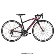 ロードバイク RIDE 410 39cm 700×25C 外装22段変速（フロント2段×リヤ11段） マットブラック AMR041396 EK32