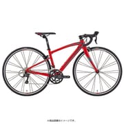 ロードバイク RIDE 210 42cm フロント2速×リヤ9速 Sレッド AMR021426 ER03