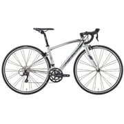 ロードバイク RIDE 210 42cm フロント2速×リヤ9速 スパーククリヤシルバー AMR021426 ES25
