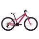 子ども用自転車 MATTS J24 外装16段変速 (フロント2速×リヤ8速) マットピンク(B・ブルー/グレー) BMMTG286 EP07