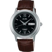ジャパンコレクション 自動巻き メンズ AQHA004