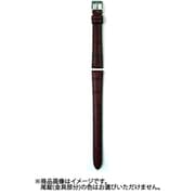 VG12 12-D83 [時計バンド スーパー防水タイプ 12mm ワイン]