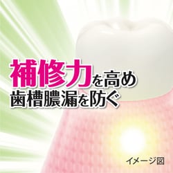 ヨドバシ.com - 小林製薬 生葉 生葉（しょうよう）EX 薬用歯磨き 歯槽