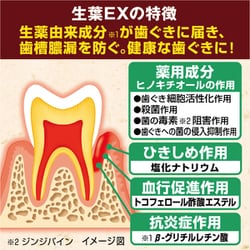 ヨドバシ.com - 小林製薬 生葉 生葉（しょうよう）EX 薬用歯磨き 歯槽