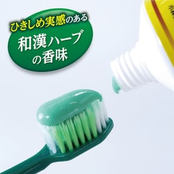 ヨドバシ.com - 小林製薬 生葉 生葉（しょうよう）EX 薬用歯磨き 歯槽