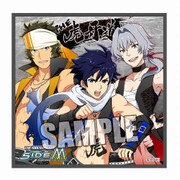 アイドルマスター SideM マイクロファイバーミニタオル [THE 虎牙道]