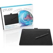 Intuos Art ペン&タッチモデル Mサイズ ブラック CTH-690 K0
