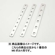 ユニバーサルステー ストレート250mm(2.5mm厚) M6ボルト用/9PLCS ステンレス製素地 0900-529-20001