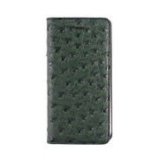 GZ6754iP6S [Ostrich Diary iPhone 6s/6 Swamp GR]