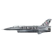 HA3835 [1/72 F-16D ポーランド空軍 タイガーミート 2014 完成モデル]