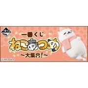 一番くじ ねこあつめ～大集合！