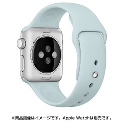 ヨドバシ.com - アップル Apple Apple Watch 38mmケース用 ターコイズ