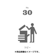 フセン100 NO.30コピー FN100-01030