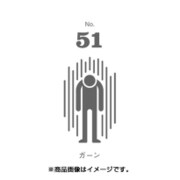 フセン100 NO.51ガーン FN100-01051