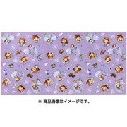 81103 [レジャーシート ディズニー ちいさなプリンセス ソフィア Lサイズ 2～3人用]