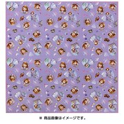 81104 [レジャーシート ディズニー ちいさなプリンセス ソフィア LLサイズ 5～6人用]