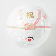 BSF-CB02 [フットサル4号 Celebration Ball]