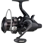 CARP'IZM 4500BR [スピニングリール]