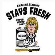 SJ15634 1 F [アートパネル STAY FRESH ホワイト Fサイズ]