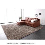 ロングパイルシャギーラグ Premina(プレミナ) 261×261cm グリーン YS-24373