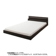 モダンライト・コンセント付き連結フロアベッド Joint Wide(ジョイントワイド) 日本製ボンネルコイルマットレス付き セミダブル ダークブラウン YS-25184