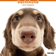 THE DOG カレンダー2016 ダックスフンド [2016年カレンダー 壁掛けタイプ]