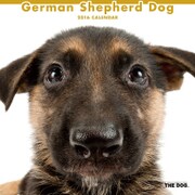 THE DOG カレンダー2016 ジャーマンシェパードドッグ [2016年カレンダー 壁掛けタイプ]