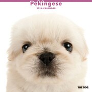 THE DOG カレンダー2016 ペキニーズ [2016年カレンダー 壁掛けタイプ]
