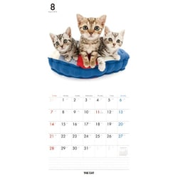 ヨドバシ Com The Cat カレンダー16 アメリカンショートヘア 16年カレンダー 壁掛けタイプ 通販 全品無料配達
