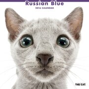 THE CAT カレンダー2016 ロシアンブルー [2016年カレンダー 壁掛けタイプ]