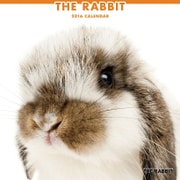 THE RABBIT カレンダー2016 [2016年カレンダー 壁掛けタイプ]