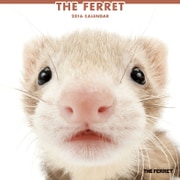THE FERRET カレンダー2016 [2016年カレンダー 壁掛けタイプ]