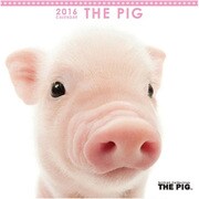 THE PIG ミニカレンダー2016 [2016年カレンダー 壁掛けタイプ]