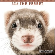 THE FERRET ミニカレンダー2016 [2016年カレンダー 壁掛けタイプ]