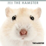 THE HAMSTER ミニカレンダー2016 [2016年カレンダー 壁掛けタイプ]