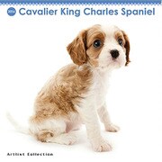 THE DOG ミニカレンダー2016 キャバリア [2016年カレンダー 壁掛けタイプ]