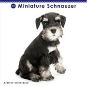 THE DOG ミニカレンダー2016 ミニチュアシュナウザー [2016年カレンダー 壁掛けタイプ]