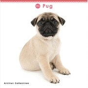 THE DOG ミニカレンダー2016 パグ [2016年カレンダー 壁掛けタイプ]