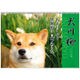 1000066677 [2016年カレンダー 001 犬川柳]