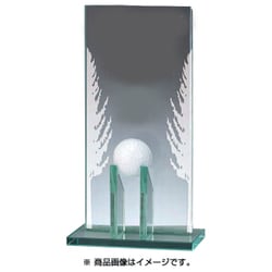 AK-1592 [ホールインワン記念ガラス 楯]