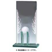 AK-1592 [ホールインワン記念ガラス 楯]