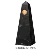 AK-1595B [ホールインワン記念天然石 トロフィー]