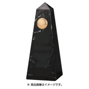 AK-1595C [ホールインワン記念天然石 トロフィー]