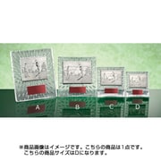 ME-6224D [樹脂製レリーフ ガラス製 楯]