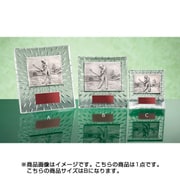 ME-6225B [金属製レリーフ ガラス製 楯]